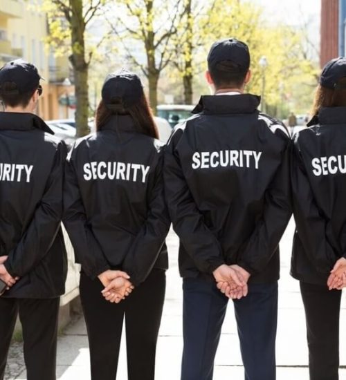 Webp.net-resizeimage-48-1